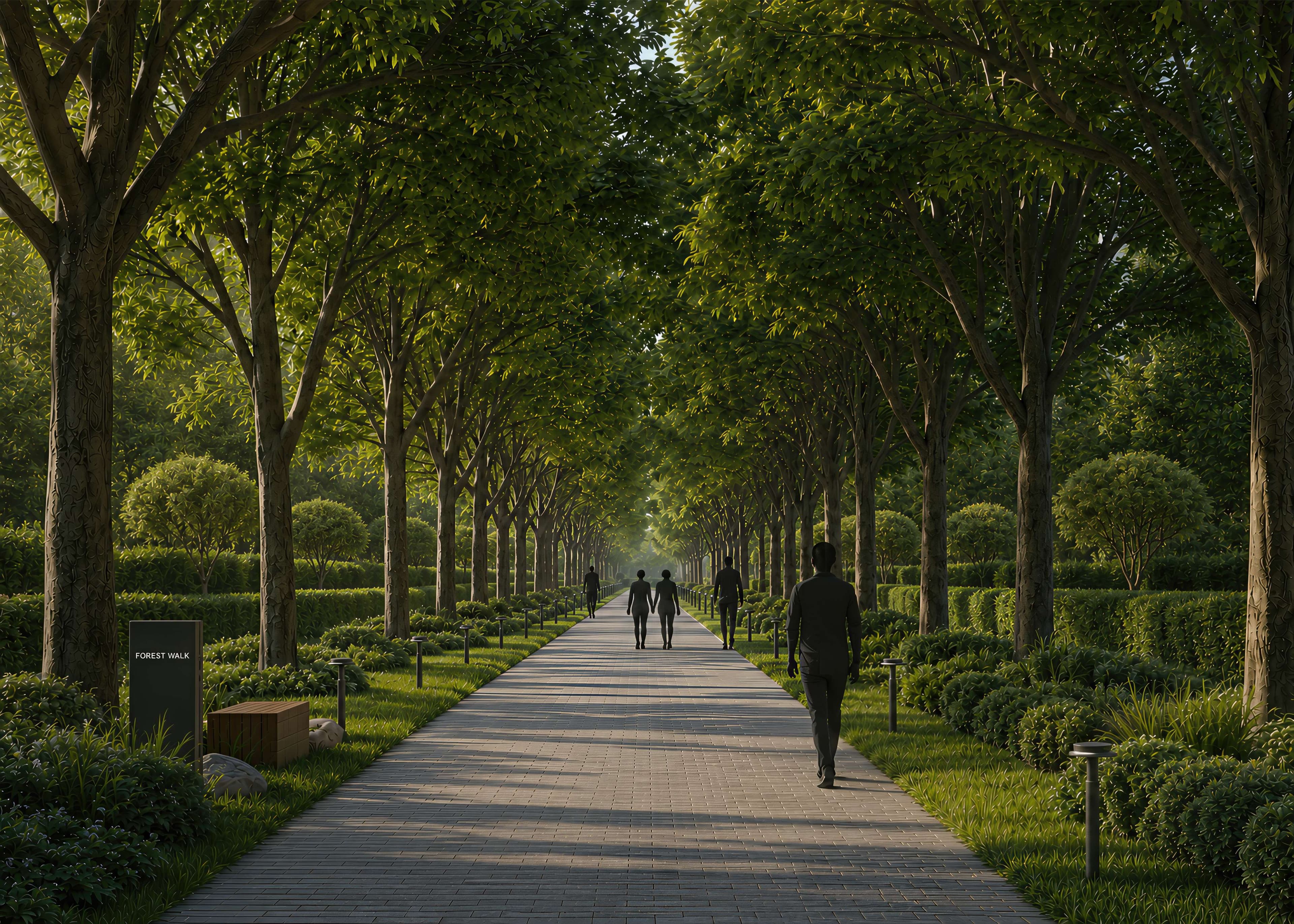 Forest Walkway